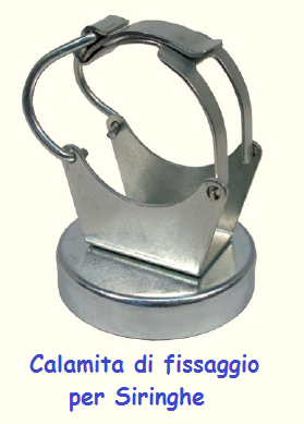 calamita